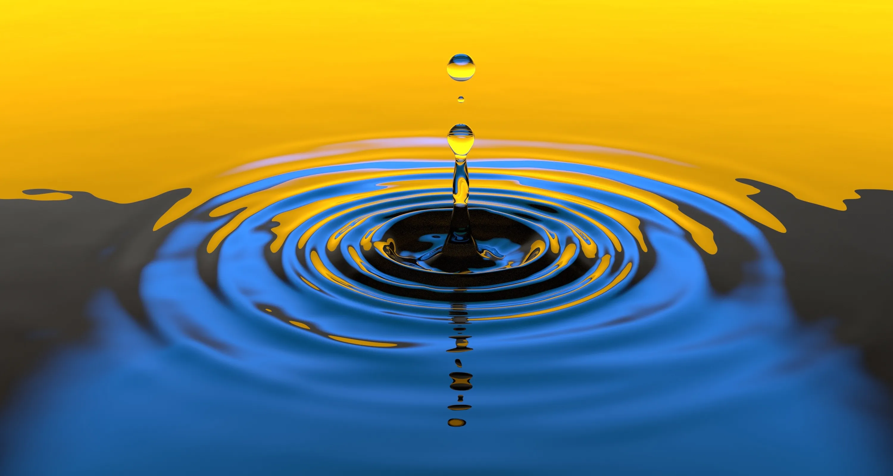 Numerical Simulations